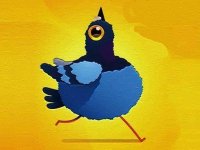 Cartoon Pigeon Jigsaw Puzzle Game - Puzzle Game