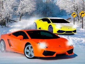 Truck Racing Differences Online Game
