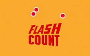 Quick Count: Visual Estimation Game