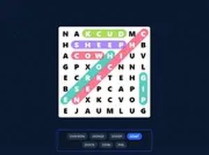 Word Hunt Grid Puzzle